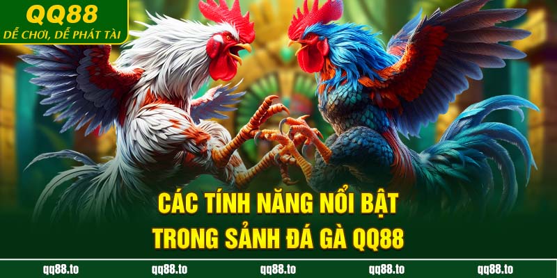 Các tính năng nổi bật trong sảnh đá gà QQ88